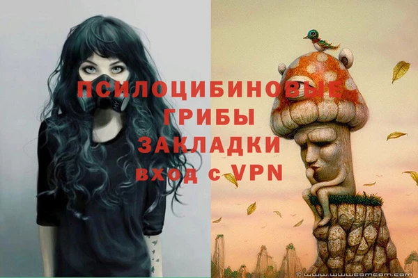 бошки Дмитров