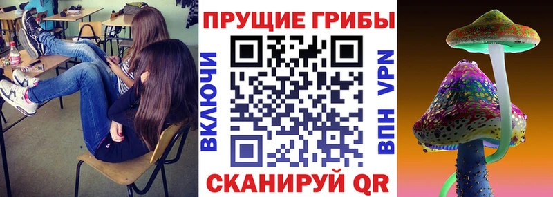 Галлюциногенные грибы MAGIC MUSHROOMS  мега tor  Козловка 